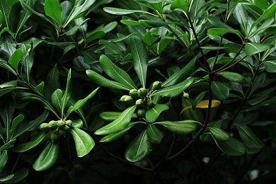 PS4《那由多之轨迹：改》繁中版将于于2021年10月21日发售